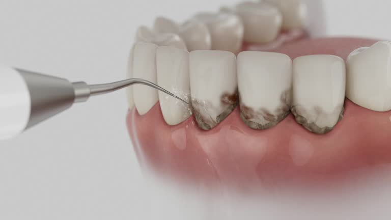 Reliable Dental contractor in Slope County County, ND by Dentist Open Now